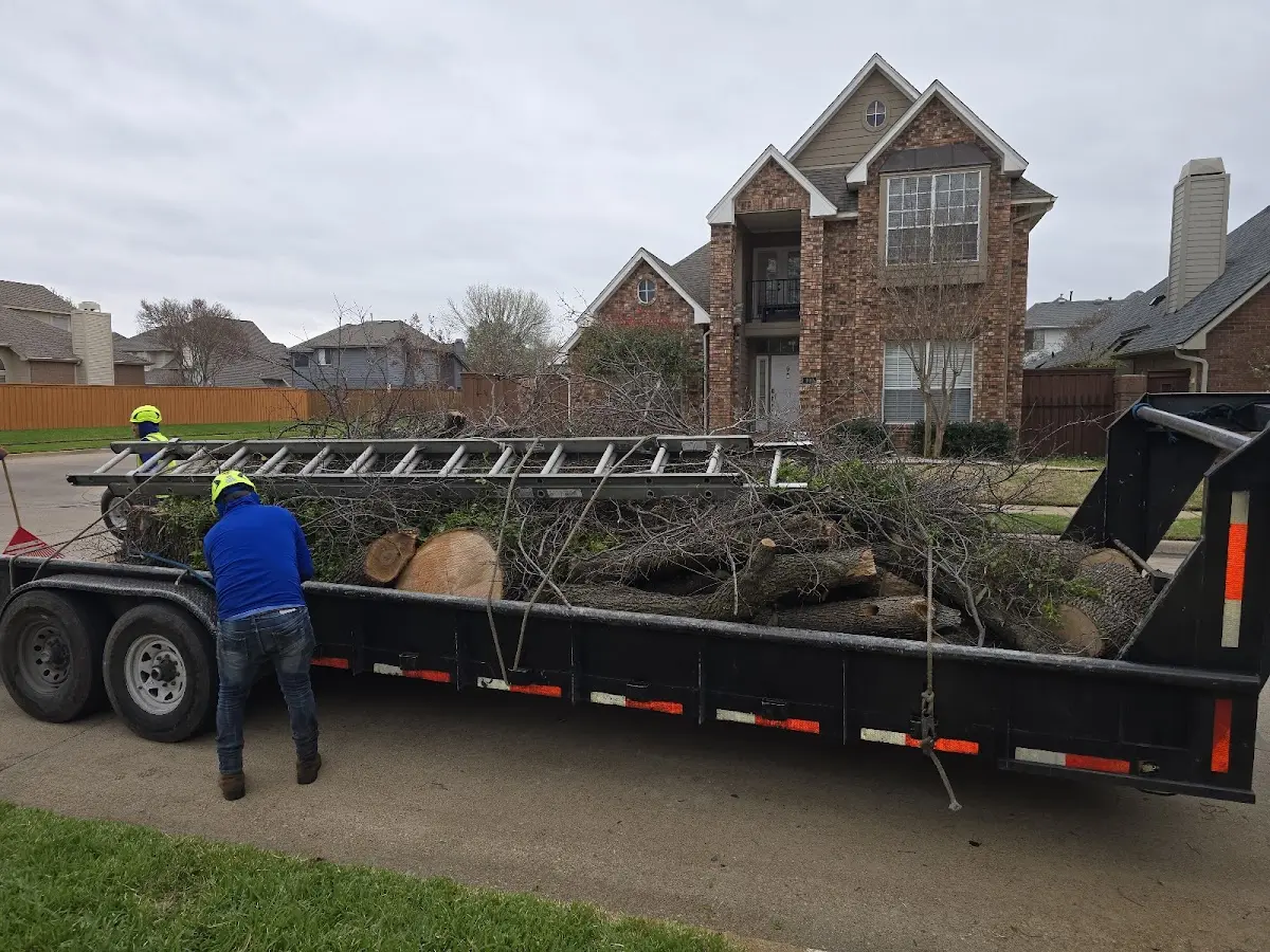 Expert Tree Fertilization with proper safety equipment in Winfred